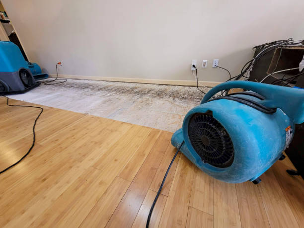 Professional Basement Flood Cleanup technician working in Pensacola, FL